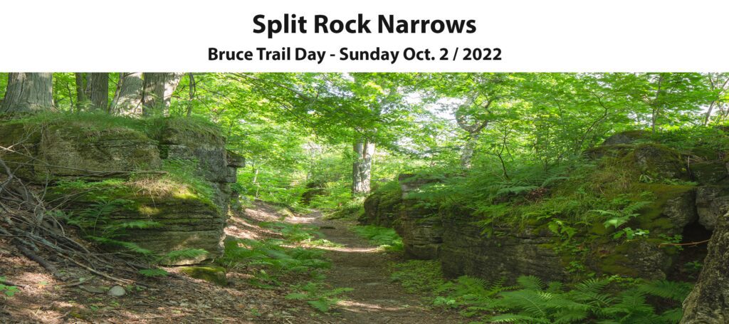 Bruce Trail Day 2022