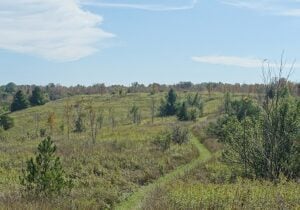 Why I Walk