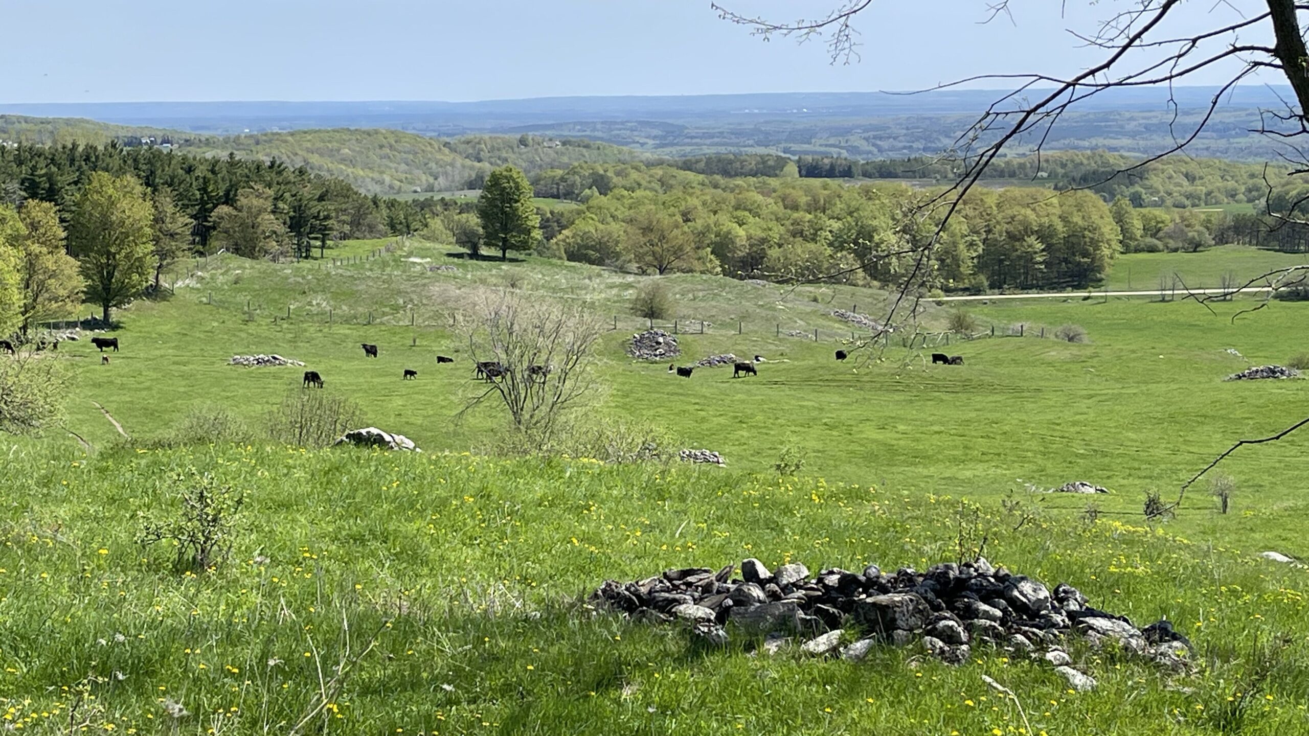 Honeywood Ridge
