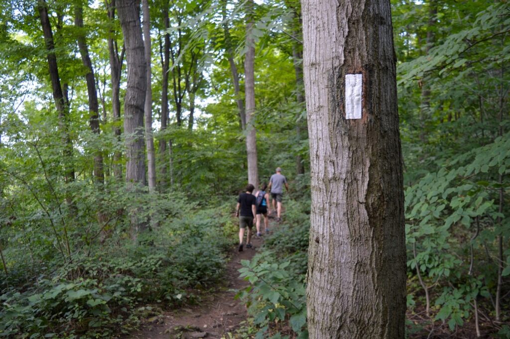 Looking for a Hike? - Dufferin Bruce Trail Club