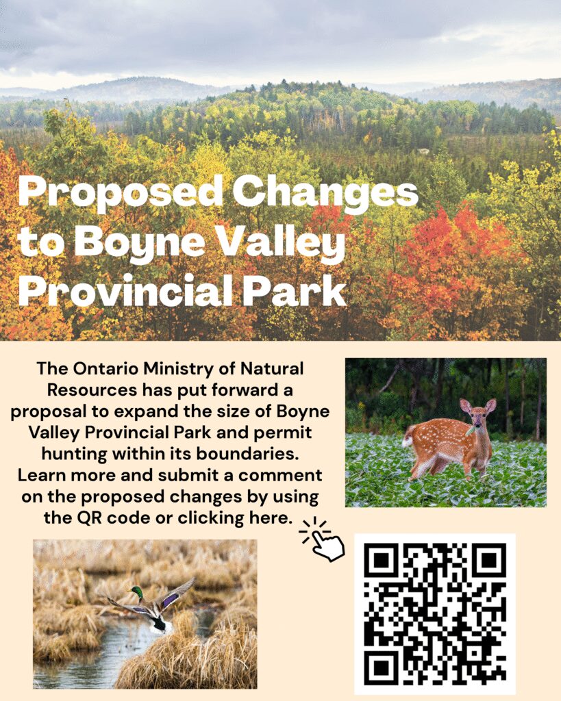 MNR to allow hunting in the Boyne Valley